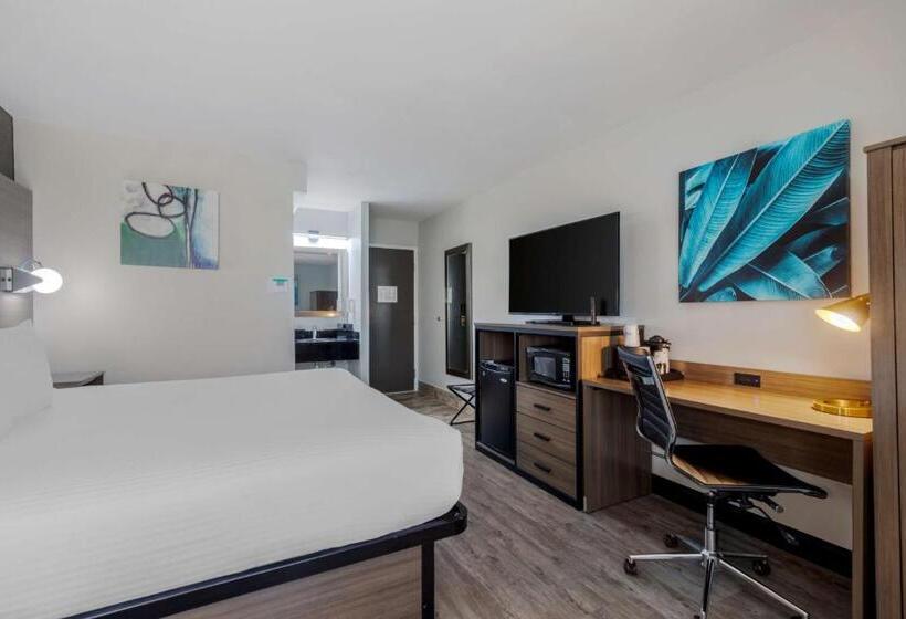스탠다드 룸 킹사이즈 침대, Best Western Corpus Christi Airport