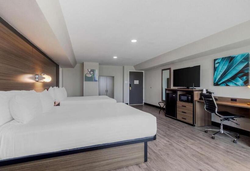 스탠다드 룸, Best Western Corpus Christi Airport