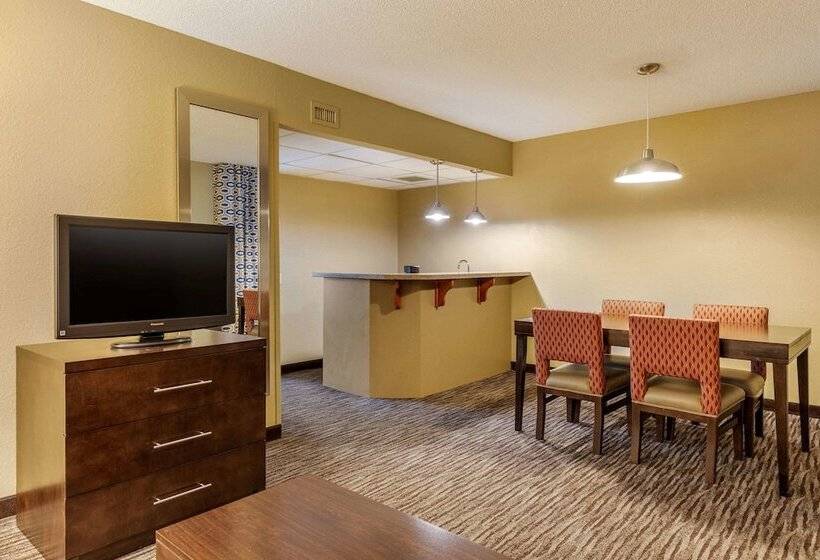 Suite, Suburban Studios Arlington Heights Elk Grove