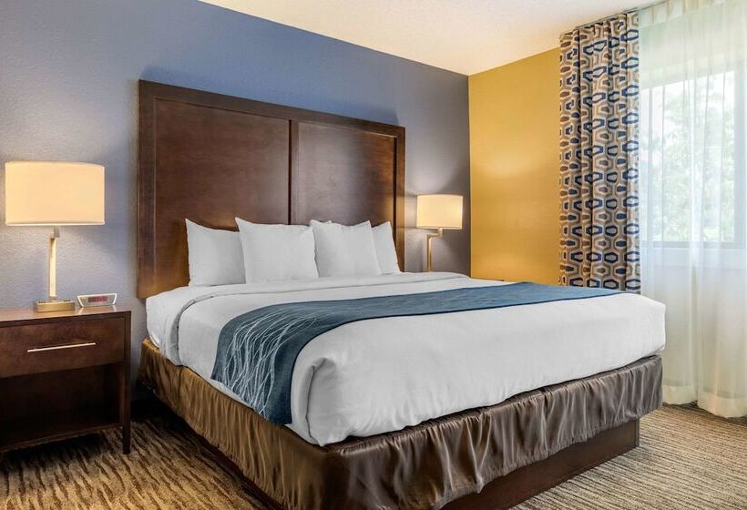 Suite, Suburban Studios Arlington Heights Elk Grove