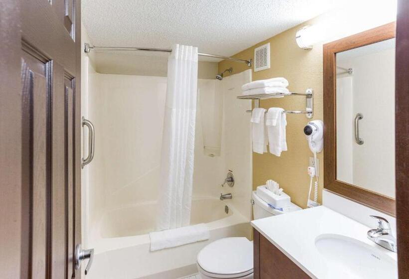 带大床的标准间, Quality Inn & Suites