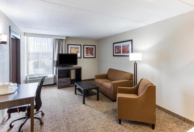 스위트, Quality Inn & Suites