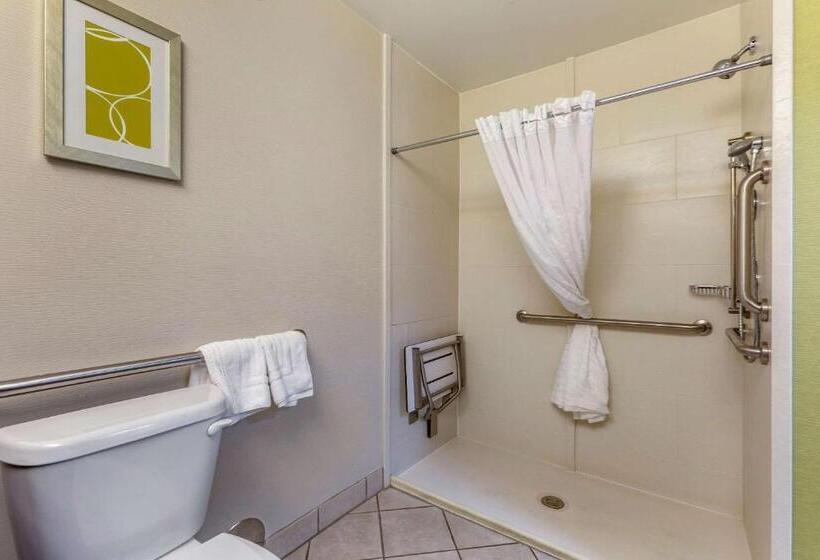 Номер Стандарт Адаптированный для Инвалидов, Comfort Inn At Buffalo Bill Village Resort