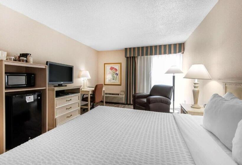 스탠다드 룸 킹사이즈 침대, Clarion Inn Grand Junction