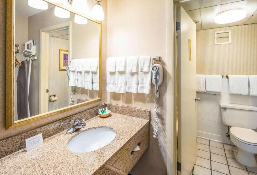 장애인을 위한 킹사이즈 침대 스탠다드 룸, Clarion Inn Grand Junction