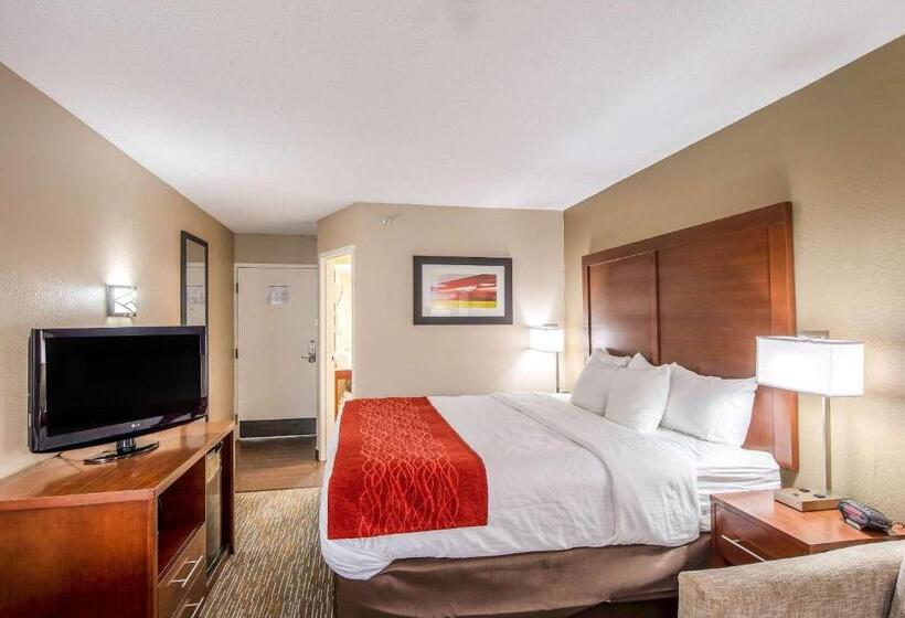 스탠다드 룸 킹사이즈 침대, Comfort Inn Greenville  Haywood Mall