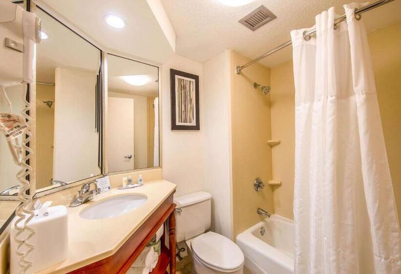 수피리어 룸, Comfort Inn Greenville  Haywood Mall