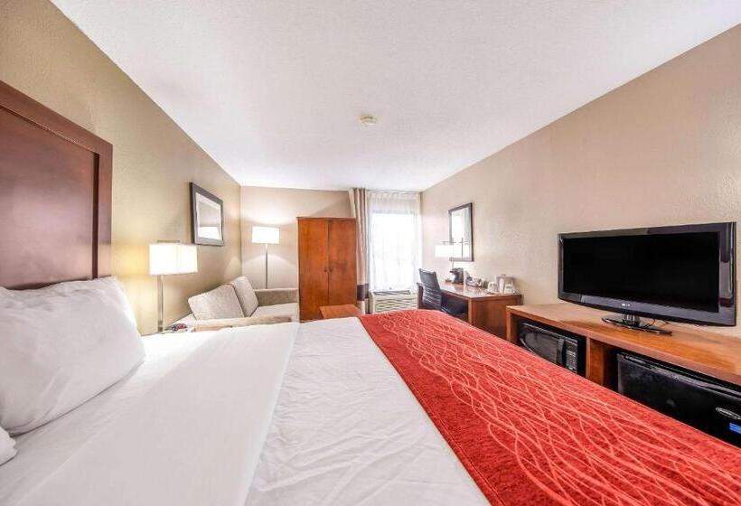 수피리어 룸, Comfort Inn Greenville  Haywood Mall