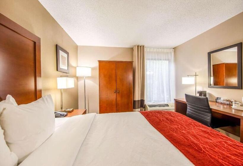 장애인을 위한 스탠다드 룸, Comfort Inn Greenville  Haywood Mall