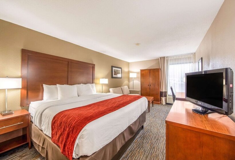 스탠다드 룸 킹사이즈 침대, Comfort Inn Greenville  Haywood Mall