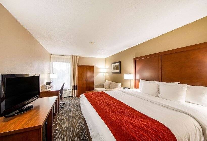 스탠다드 룸 킹사이즈 침대, Comfort Inn Greenville  Haywood Mall