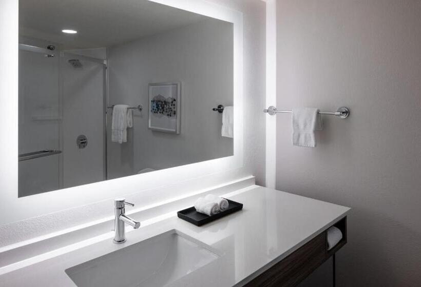스탠다드 룸 킹사이즈 침대, Crowne Plaza Atlanta Ne   Norcross