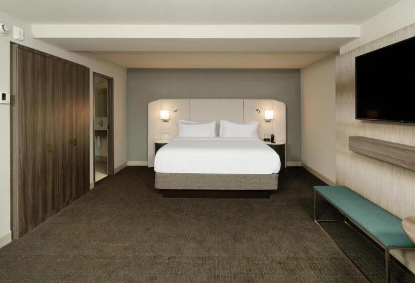 Júnior Suíte Cama King, Crowne Plaza Atlanta Ne   Norcross