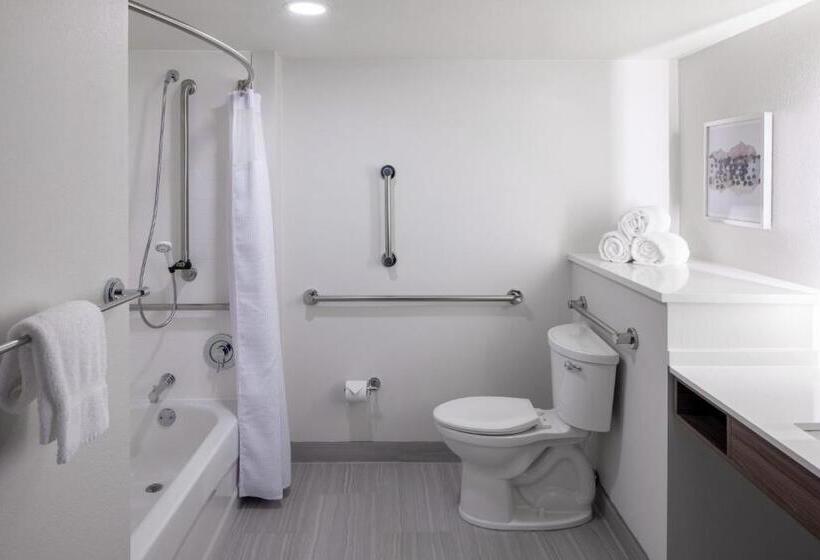 장애인을 위한 킹사이즈 침대 스탠다드 룸, Crowne Plaza Atlanta Ne   Norcross