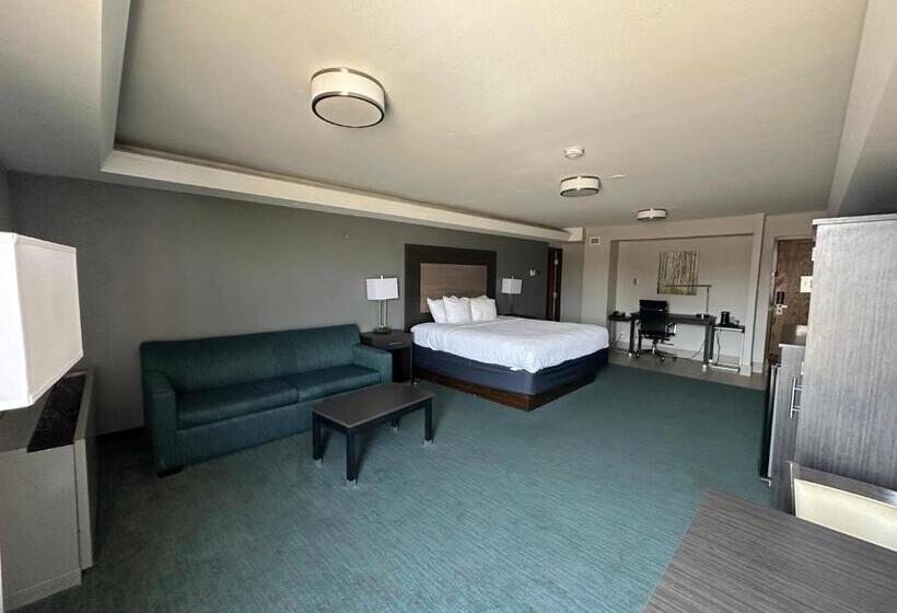 身障者適用キングサイズベッドルーム, Comfort Inn Dallas North Love Field Airport