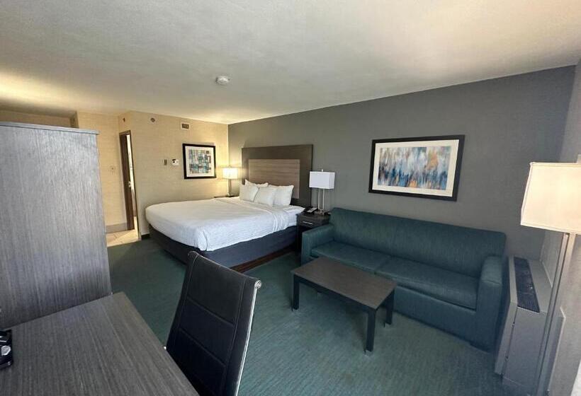 スタンダードトリプルルーム, Comfort Inn Dallas North Love Field Airport