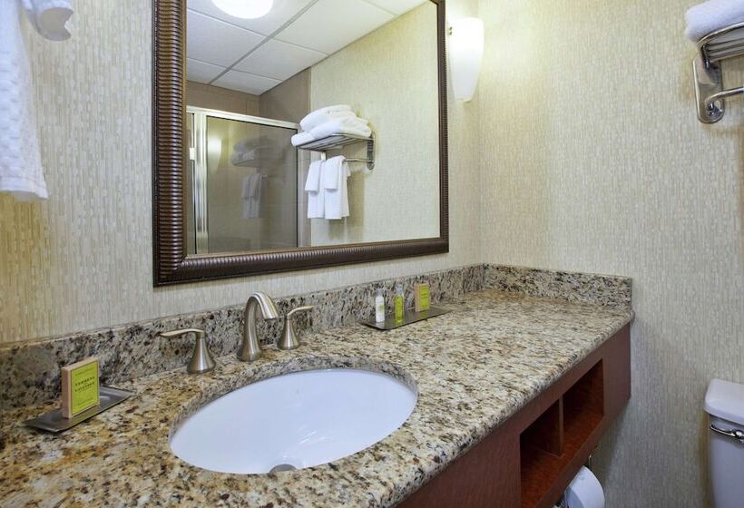 Номер Стандарт 2 Двуспальные Кровати, Doubletree By Hilton Holland