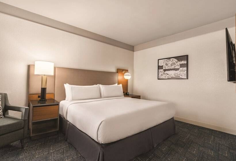 适合残疾人士使用的套间, Doubletree By Hilton Tampa Rocky Point Waterfront