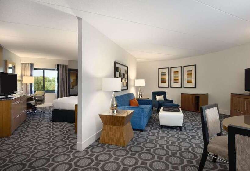 스위트 킹사이즈 침대, Hilton Greenville
