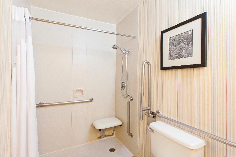 Номер Стандарт Кровать Кинг Адаптированный для Инвалидов, Holiday Inn Sacramento Downtown Arena, An Ihg