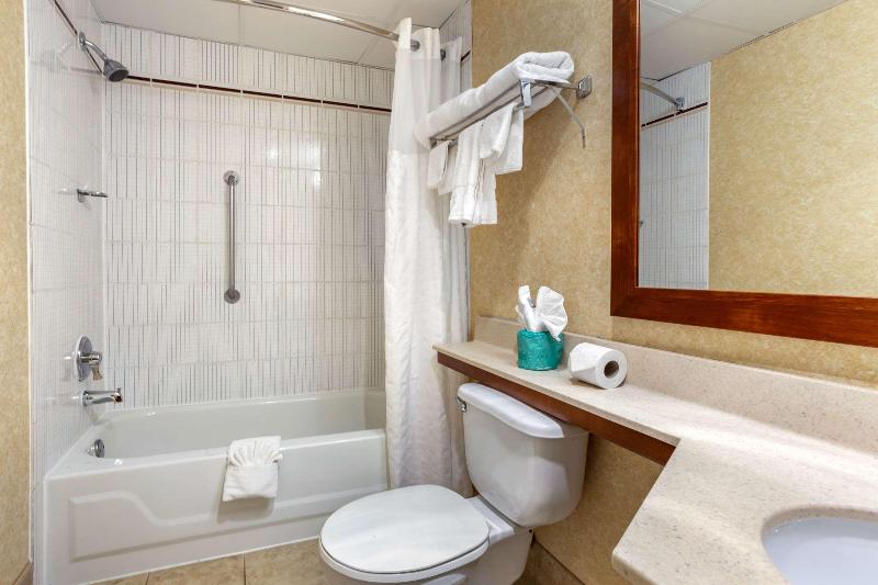 스탠다드 룸 킹사이즈 침대, Ramada By Wyndham Indiana