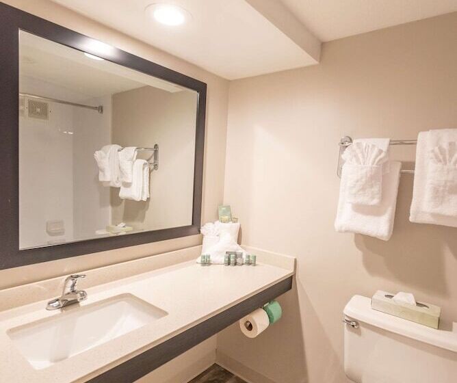 اتاق استاندارد با 2 تخت دوبل, Surestay Plus Hotel By Best Western Lehigh Valley