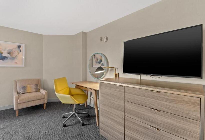 キングサイズベッドのスタンダードルーム, Crowne Plaza Houston Med Ctr Galleria Area, An Ihg