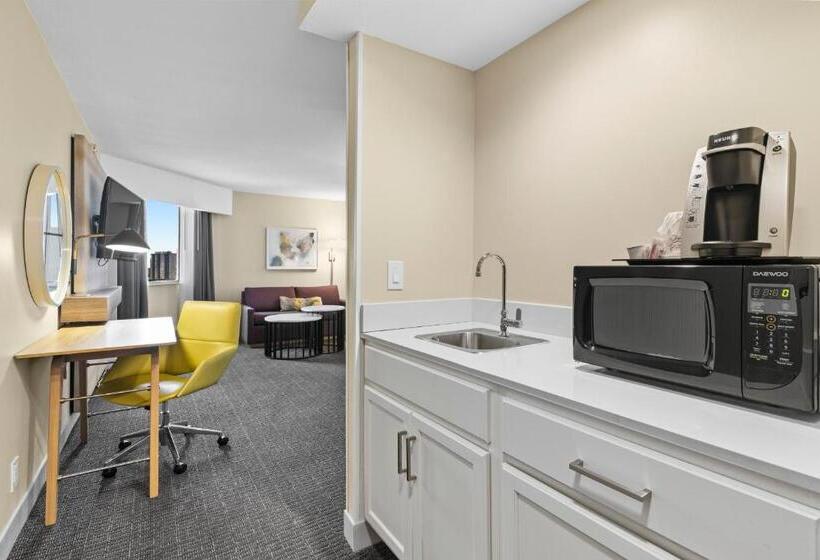 デラックススイート, Crowne Plaza Houston Med Ctr Galleria Area, An Ihg