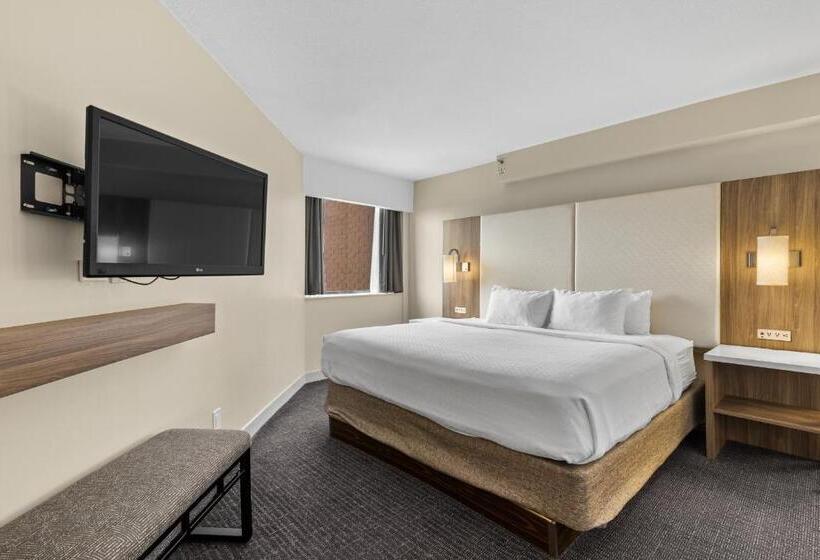 ジュニアスイート, Crowne Plaza Houston Med Ctr Galleria Area, An Ihg