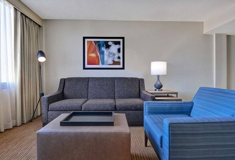 جناح بريميوم, Embassy Suites Hotel Winston Salem