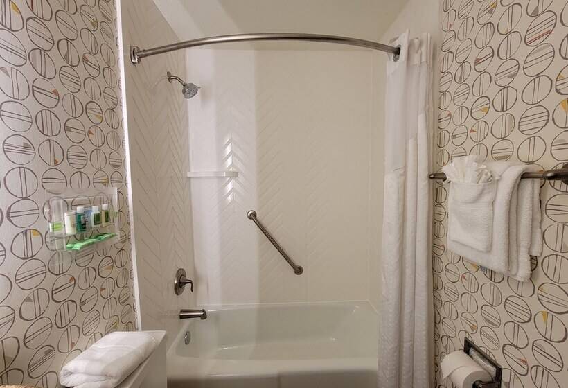 اتاق استاندارد با تخت دوبل, Holiday Inn Asheville East Blue Ridge Pkwy, An Ihg
