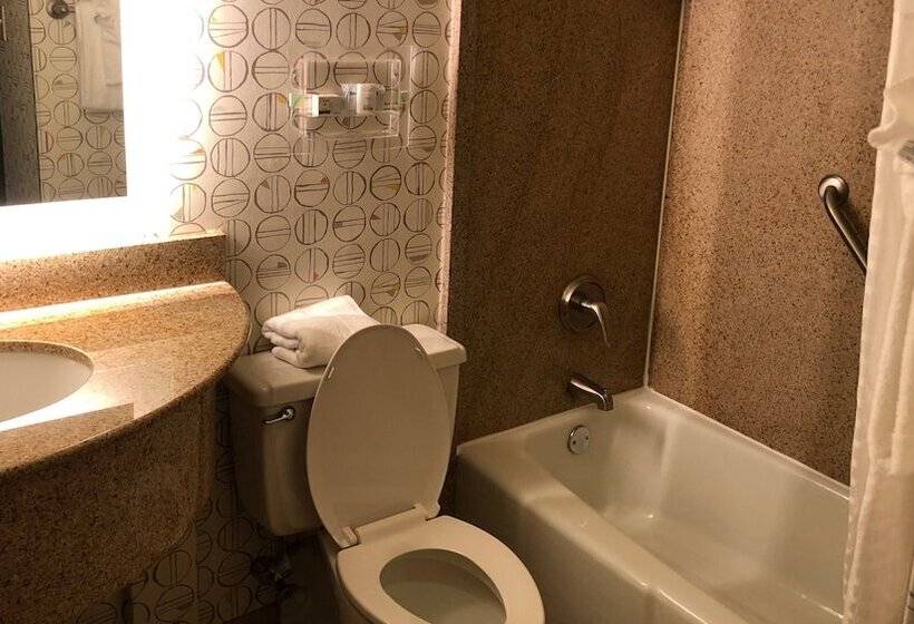 اتاق استاندارد, Holiday Inn Asheville East Blue Ridge Pkwy, An Ihg