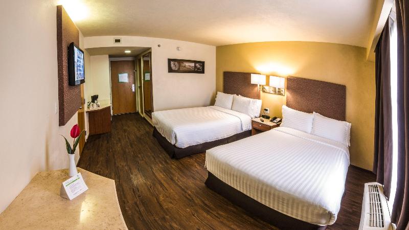 장애인을 위한 스탠다드 룸, Holiday Inn   Beaumont East Medical Ctr Area, An Ihg