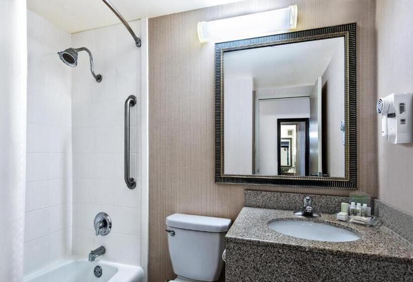 이그제큐티브 룸 킹사이즈 침대, Holiday Inn Hotel Dallas Dfw Airport West, An Ihg