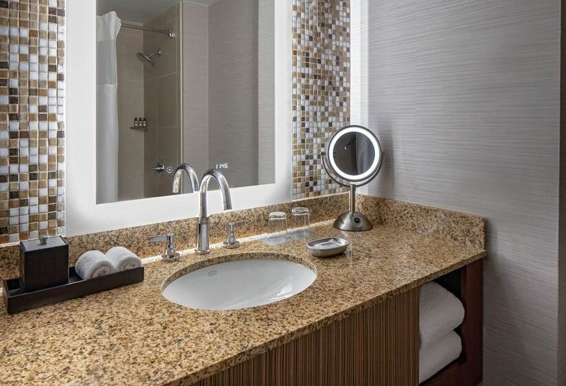 스위트, Hyatt Regency Denver Tech Center