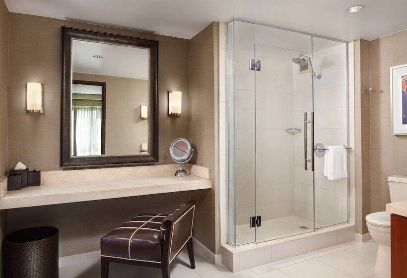 Люкс, Hyatt Regency Sacramento
