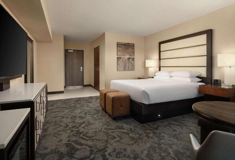 Номер Стандарт Двуспальная Кровать Вид на Парк, Hyatt Regency Sacramento