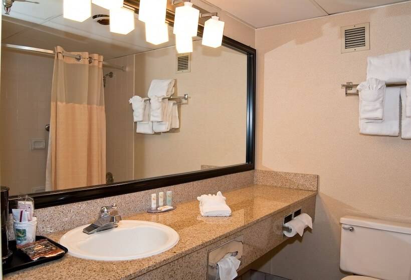 스탠다드 룸 더블 침대 2개, Quality Inn And Conference Center