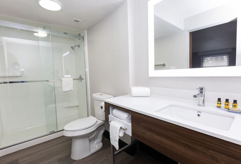 Люкс, Bhagat Hotels Stone Mountain Atlanta Bw Signature Collection