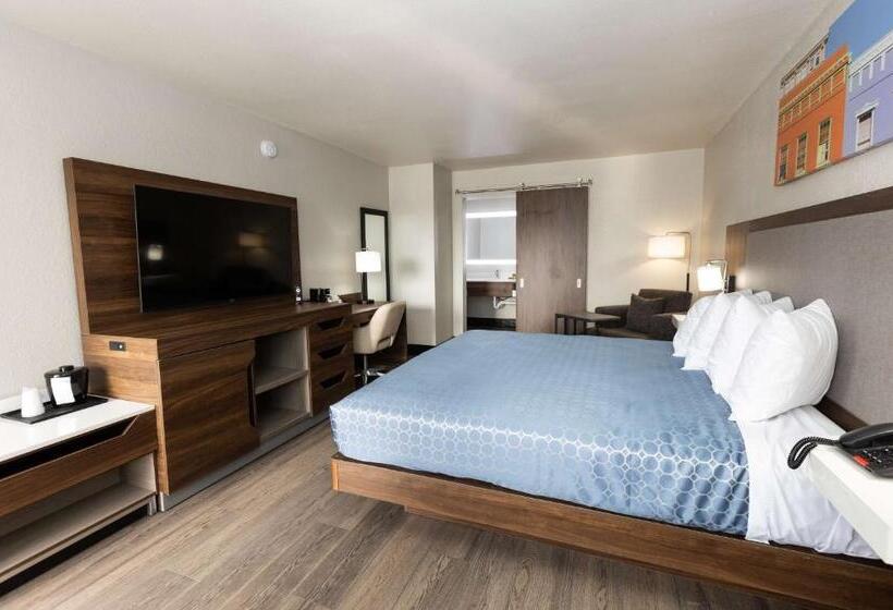 Номер Стандарт Кровать Кинг Адаптированный для Инвалидов, Bhagat Hotels Stone Mountain Atlanta Bw Signature Collection