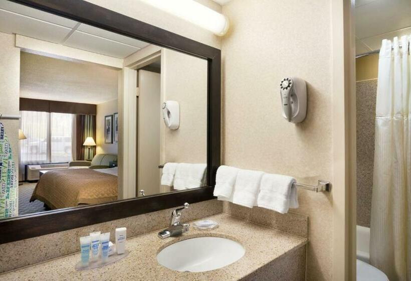 스탠다드 룸 킹사이즈 침대, Wyndham Garden Lake Guntersville