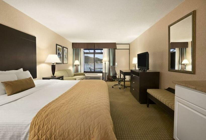 디럭스 룸 킹사이즈 침대, Wyndham Garden Lake Guntersville