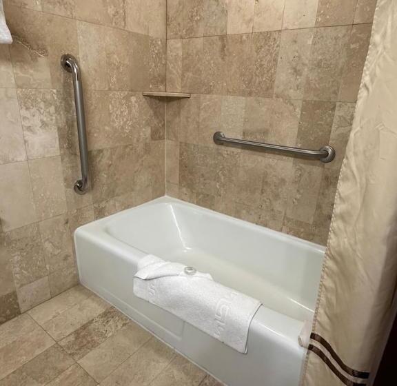 适合残疾人使用的标准间, Mission Resort And Club