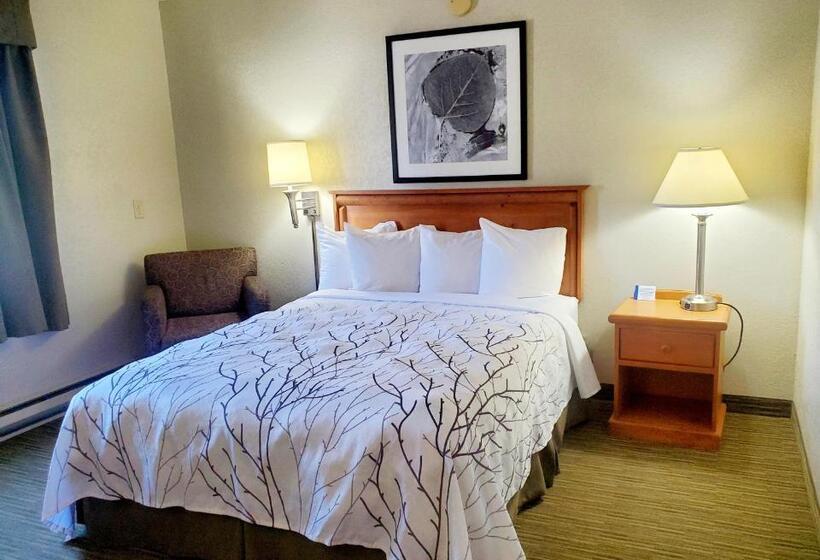 Номер Стандарт, Days Inn And Suites By Wyndham Downtown Missoulauniversity