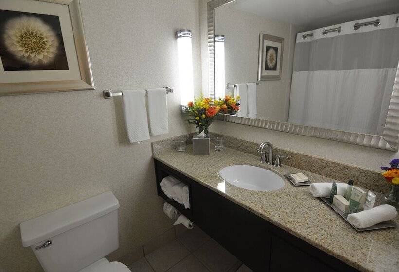 Superior Oda, Hilton Palm Beach Pbi