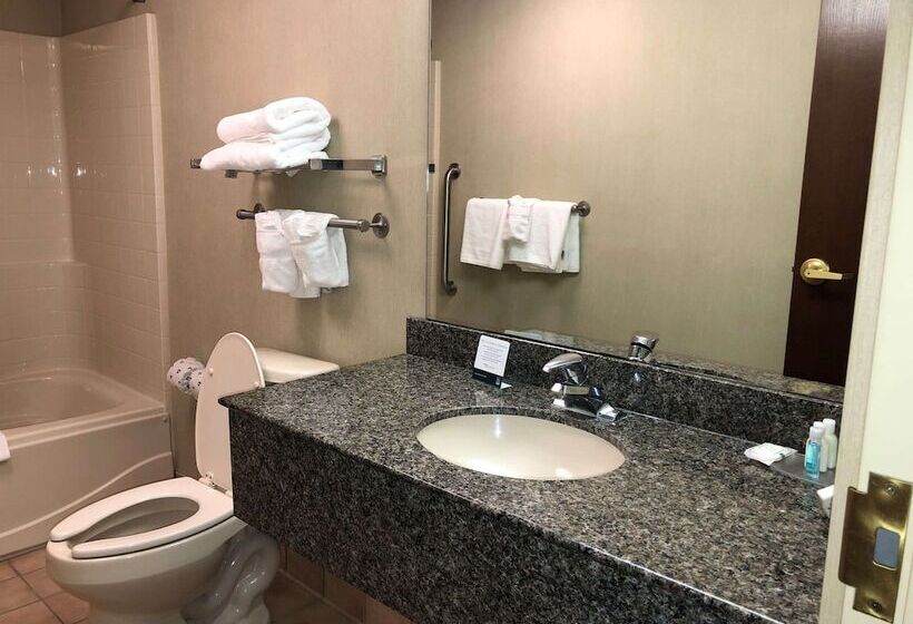 Люкс, Quality Inn & Suites Skyways