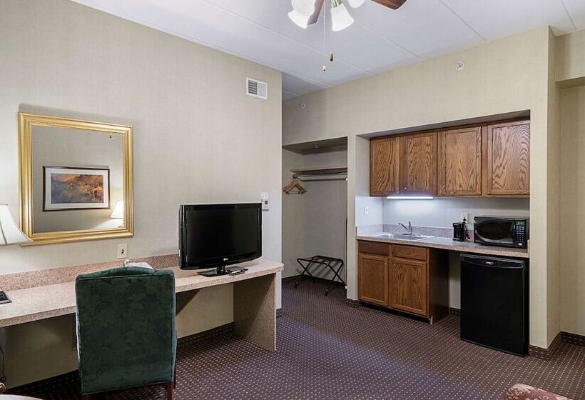 Люкс, Quality Inn & Suites Skyways