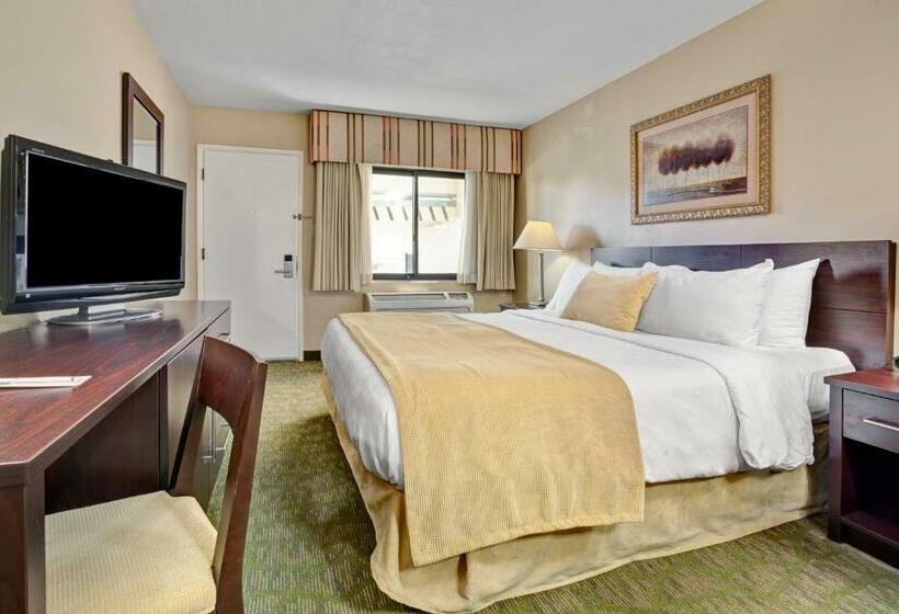 Chambre Standard Lit King Size, Travelodge By Wyndham Presidio San Francisco