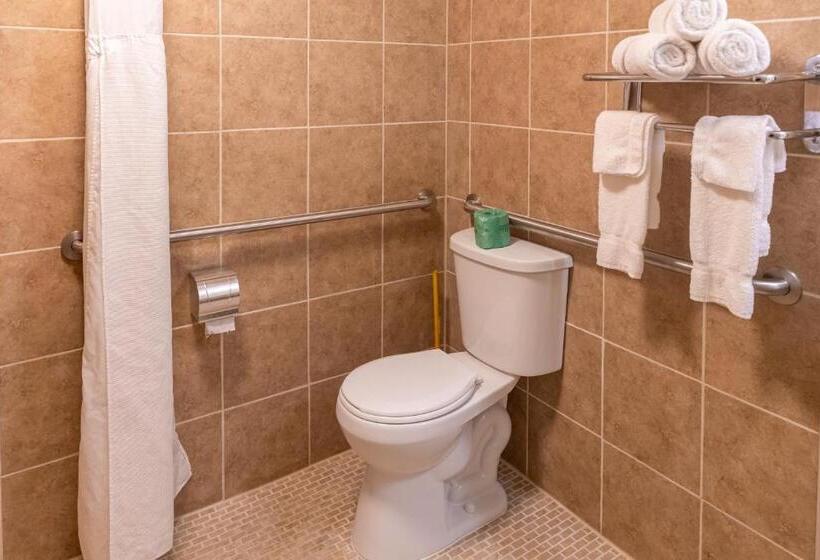Номер Стандарт, Cottonwood Suites Savannah Hotel & Conference Center