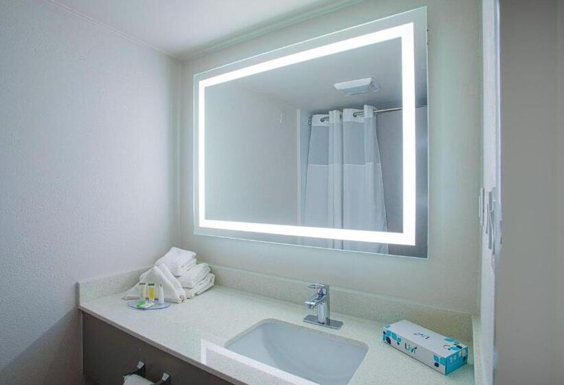带大床的套房, Americas Best Value Inn Winston Salem, Nc